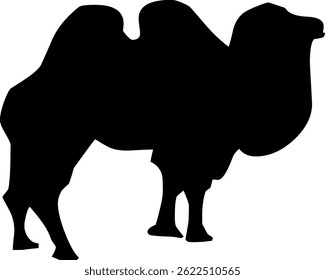 Silhouette of a Bactrian camel with two humps, adapted to desert life, on a white background.