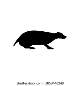 Silhouette badger on white background