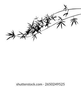 Silhouette of bamboo branches on white background with nature and art design. Nature inspired vector elements and decorative textures. Isolated Background.