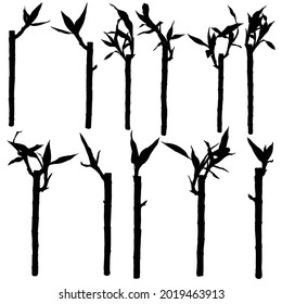 Silueta de conjunto de bosques de bambú, elementos de diseño. La decoración de bambú de la selva tropical asiática tiene palos y hojas de la planta. Ramas de árbol establecidas. Las plantas de jardín tradicionales de Japón y China son formas. Vector.