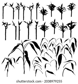 Silhouette of bamboo forest set, design elements. Asian rainforest bamboo decoration stems sticks and leaves of the plant. Tree branches set. Traditional Japan and China garden plants shapes. Vector.
