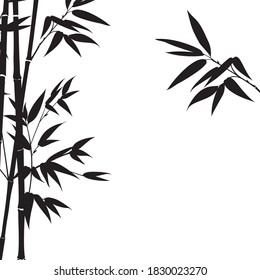 Silhouette bamboo leaves on white background