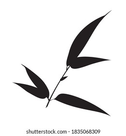 Silhouette bamboo leaves on white background