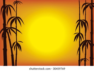Silhouette of bamboo on a sunset background