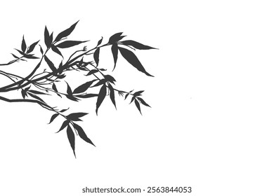 silhouette of bamboo plant without background