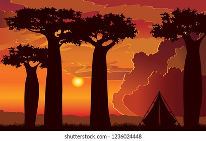 Silhouette of baobab trees and travel tent on a sunset sky background. Summer camp. Natural vector landscape.