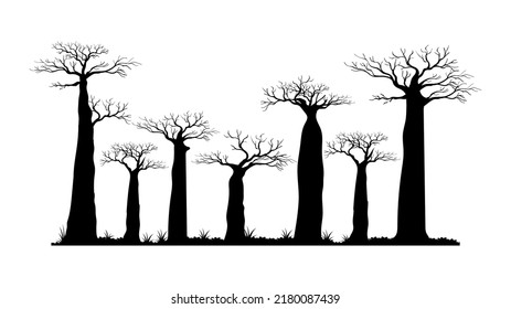 Silhouette baobab trees vector individual element with grass