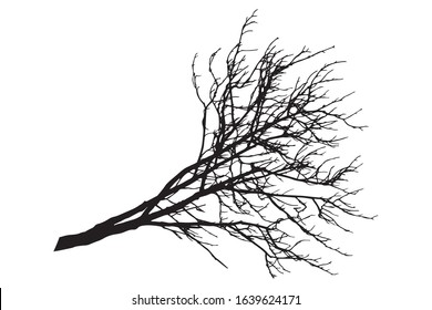Silhouette of bare branch of chestnut tree. Vector illustration
