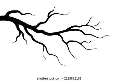 Silhouette bare branch of tree on white background.