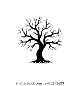 Silhouette of a bare deciduous tree in winter