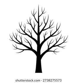 Silhouette of a bare deciduous tree in winter, symbolizing dormancy and the changing seasons.