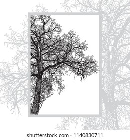 Silhouette of bare natural tree isolated on white background. Abstract vector graphics illustration of stem and crossed thin branches without leaves.