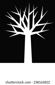 silhouette of a bare tree