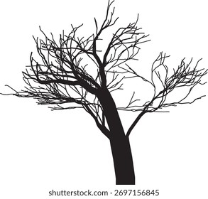 Silhouette eines nackten Baumes auf sauberem weißem Hintergrund