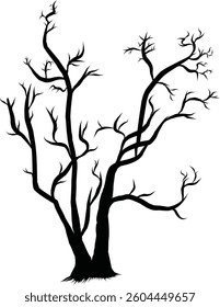 Silhouette of Bare Tree Branches on a Transparent Background