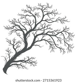 Silhouette of a bare tree with intricate branches on a white background Keywords: tree, bare tree, silhouette, branches, winter, nature, deciduous