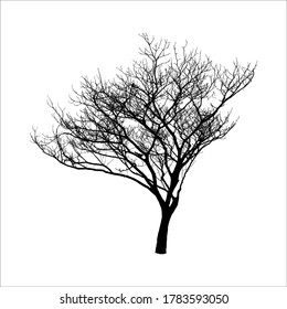 Silhouette of bare tree isolated on white background