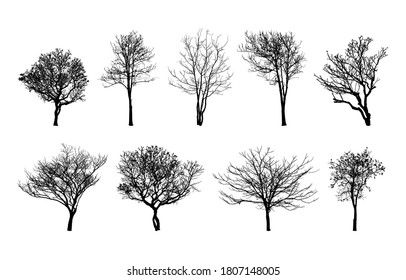 Silhouette of Bare tree isolated on white background