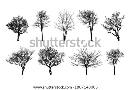 Silhouette of Bare tree isolated on white background