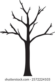 Silhouette of a Bare Tree. tree with roots