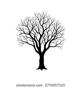 Silhouette of bare winter tree with intricate branches reaching skyward vector