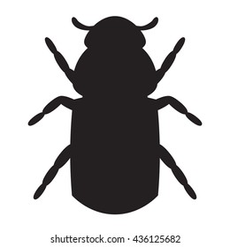  Silhouette of a bark beetle isolated on the white background. Vector illustration.