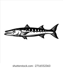 Silhueta de peixe barracuda com dentes afiados, descascados, pronto para bater, gráfico preto sobre branco, ilustração predador, símbolo de perigo e vida marinha