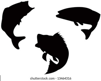 Silhouette of a bass