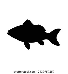silhouette of a Bass fish on white