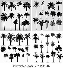 silhouette beach árbol coconut hojas plantas leaf naturaleza ilustración 