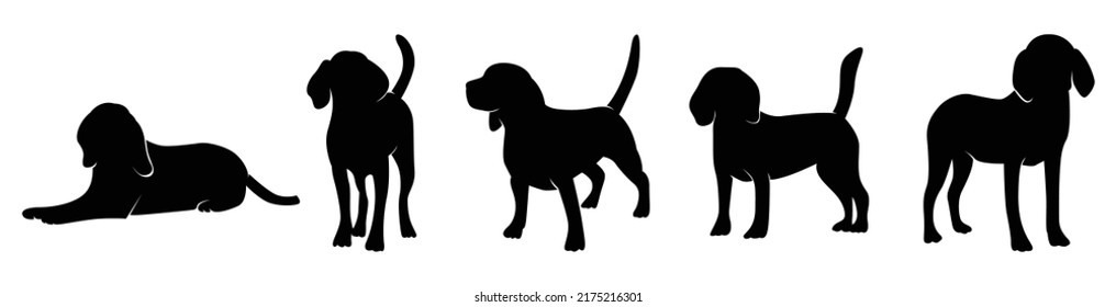 Silhouette Beagle Dog in white background