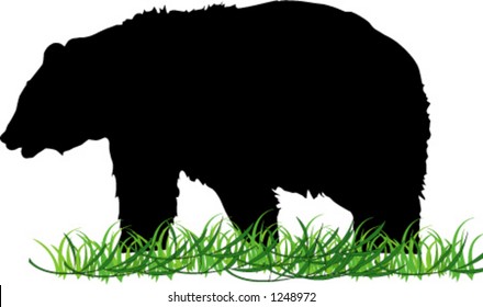 silhouette of bear