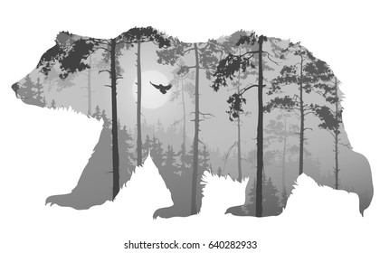 Silhouette of a bear. Inside a pine forest with a flying owl. Vector illustration, isolated object