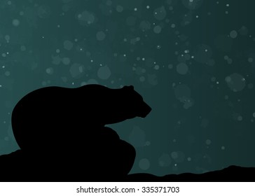 Silhouette of bear in night, looking forward