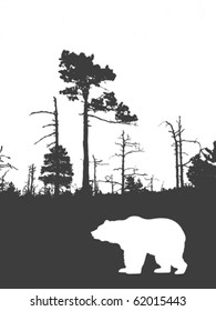  silhouette bear on background wild wood