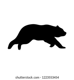 Download Running Bear High Res Stock Images Shutterstock