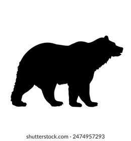 silueta de un oso - Ilustración vectorial	