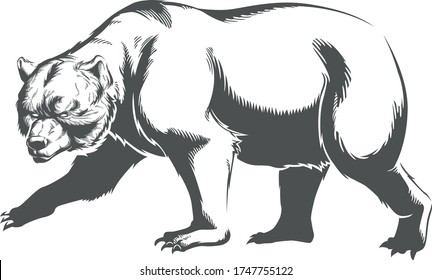 Silhouette bear walking sideview isolated contour on black-and-white no background vector illustration