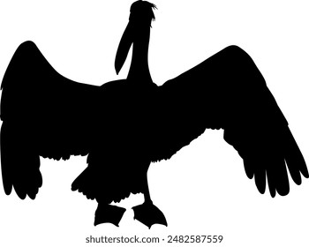 Silhouette a beautiful bird illustration