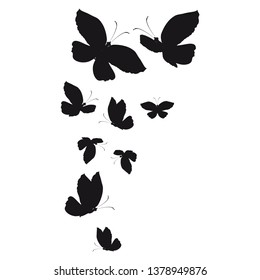 Silhouette of beautiful butterflies, isolated on a white.