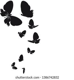 silhouette, beautiful butterflies, isolated on a white