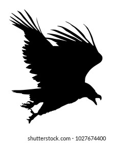 Silhouette Beautiful Eagle On White Background Stock Vector (Royalty ...