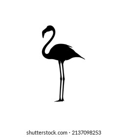 Silhouette of Beautiful Flamingo logo design. Animal Vector Illustration eps 10