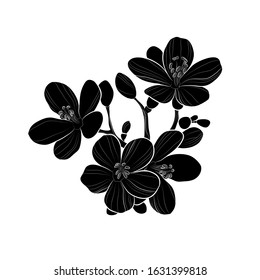 Silhouette of a beautiful flowers. Black and white illustration. Vector.
