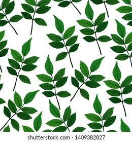 Silhouette of beautiful leaves. Seamless Pattern Background. Vector Illustration. EPS10