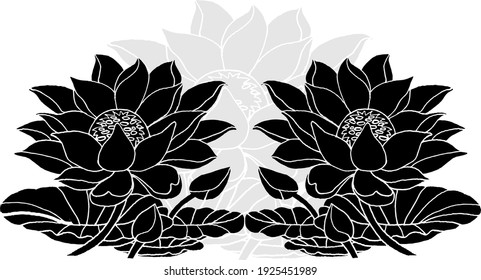 Silhouette of beautiful water liles on white background