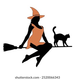 Silhouette of beautiful witch in colored dress and hat with black cat flying on broomstick. Vector illustration for Halloween holiday. Young whitch flew on besom isolated on white background.