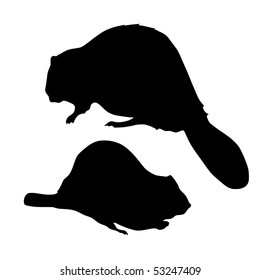 silhouette of beaver