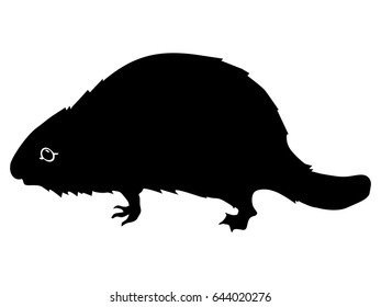 silhouette of beaver