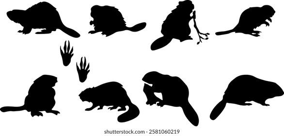 Silhouette of a beaver. Black shadow of a beaver in the wild